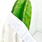 moisture wicking underwear, organic brief, creme
